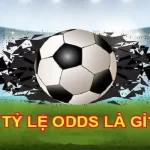 Giải thích tổng quan về Odds là gì
